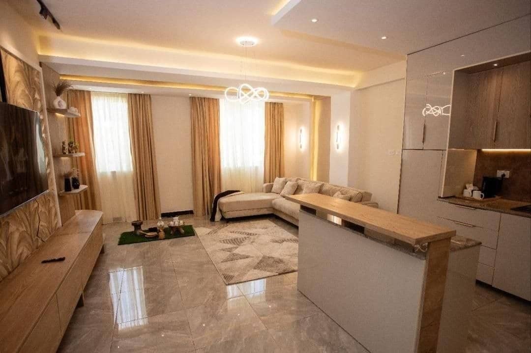Modern One Bedroom Furnished Apartment in Bole