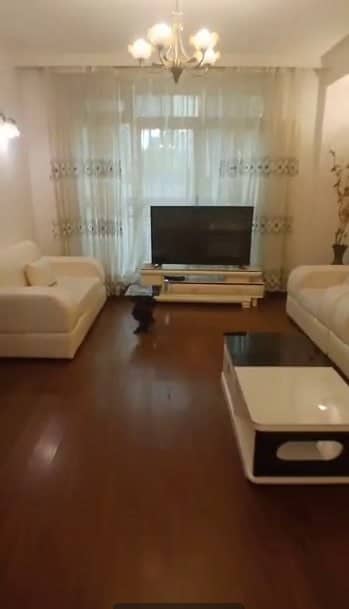 Modern G+2 House for Rent in Hayarat