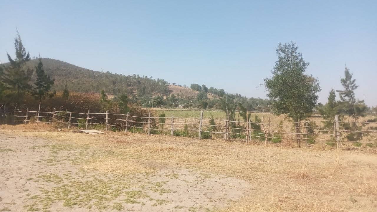 2000 ካሬሜትር ሚክስድ ካርታ ያለው መሬት ለሽያጭ - ቢሾፍቱ ዱከም
