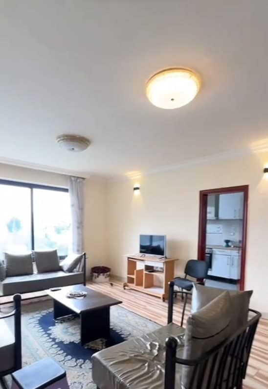 Modern Three Bedroom Apartment in Kazanchis