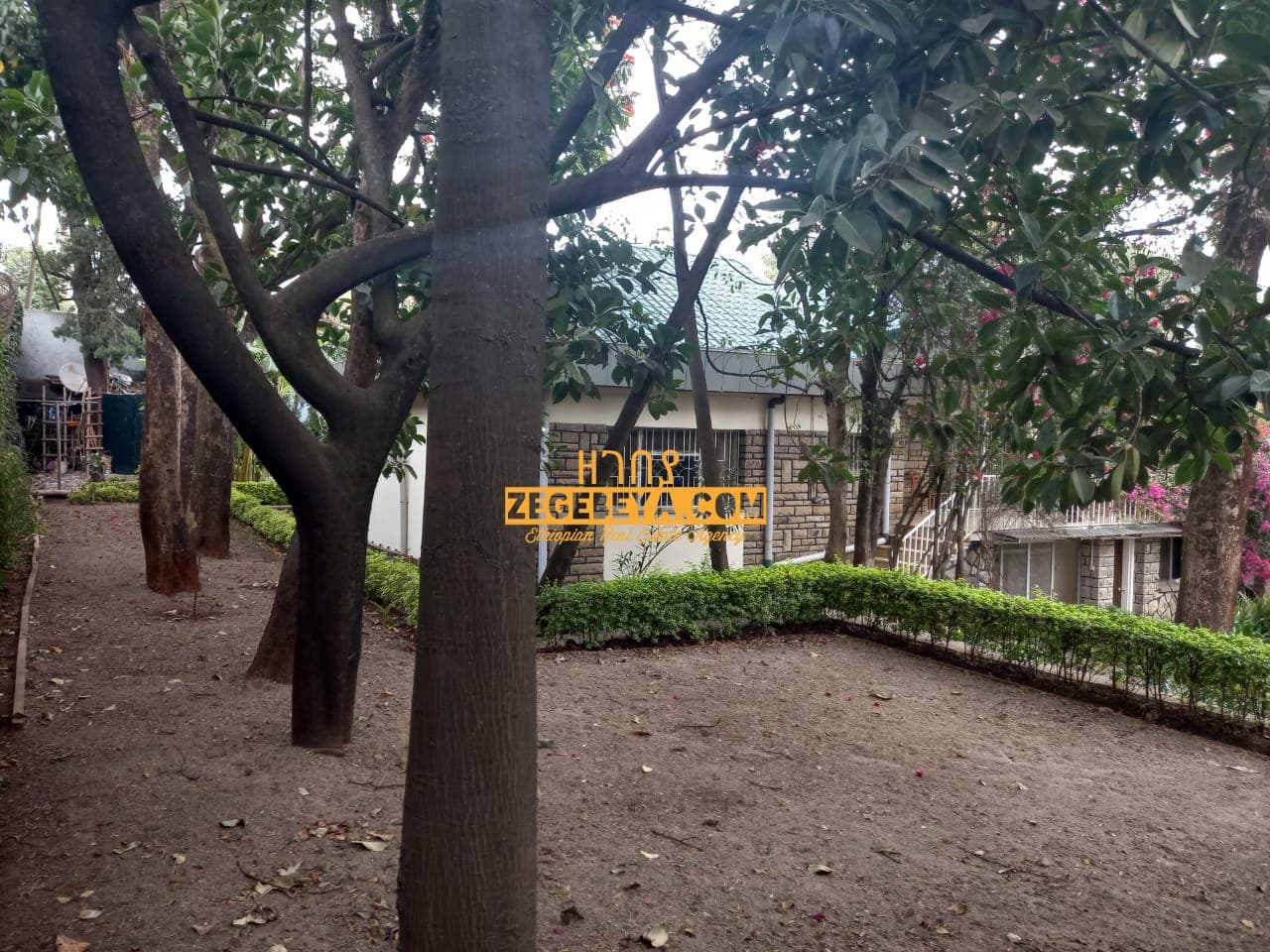 3 Bedroom Villa For Rent At Old Airport : ZG-12284 — 1