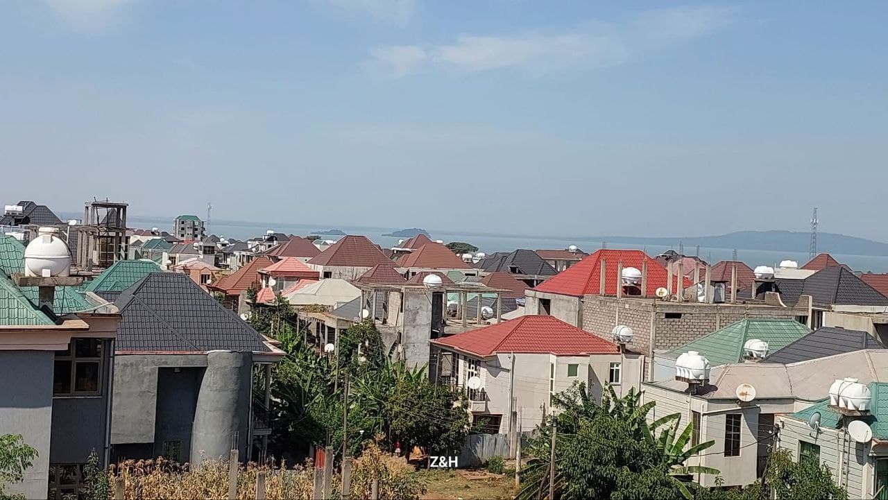 በአስቸኳይ የሚሸጥ የሊዝ ቦታ - ምድረገነት ዋርካው አካባቢ 200 ካሬ — 1