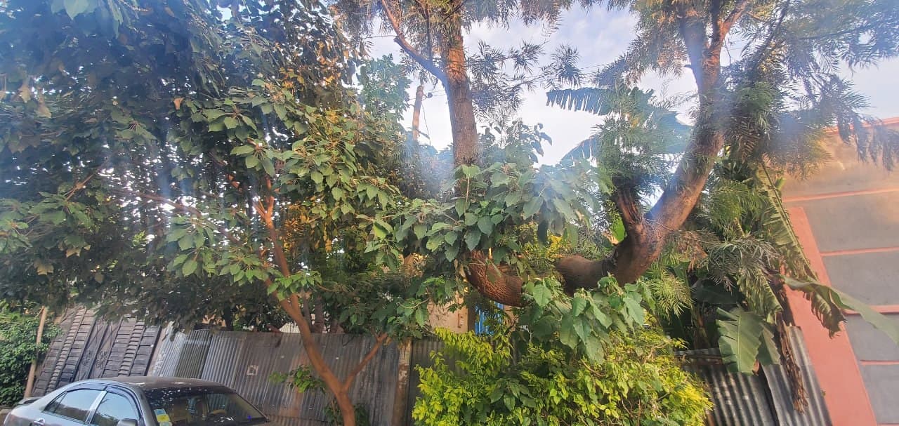 አስቸኳይ ለሽያጭ የቀረበ ቤት - ሀዋሳ አቶቴ — 1
