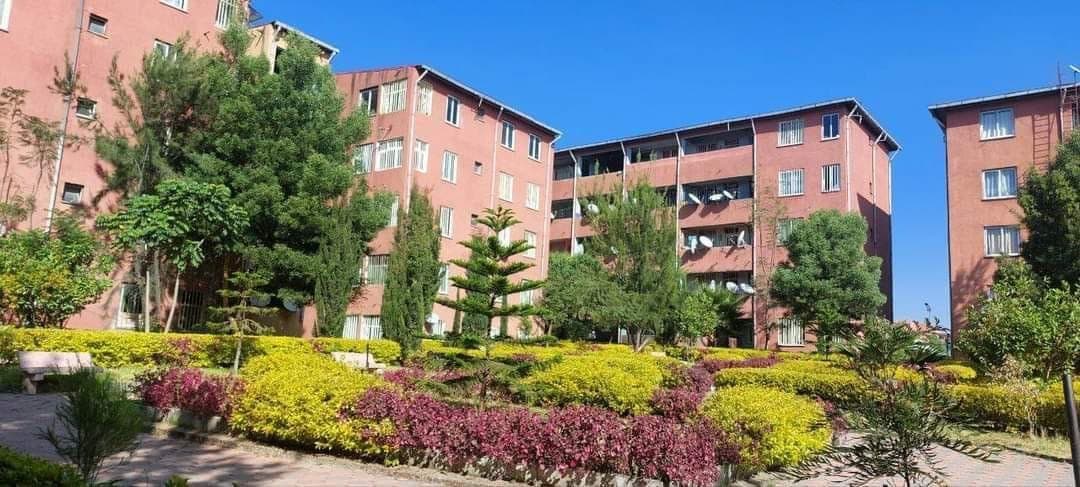 አስቸኳይ ሽያጭ - ስቱዲዮ ኮንዶ ቃሊቲ ገላን — 1