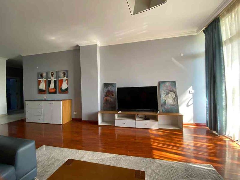 Luxury Furnished Apartment : ZG-10264 — 1