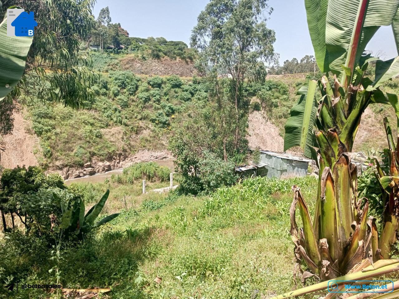 Land for Sale near Bisrate Gabriel — 1