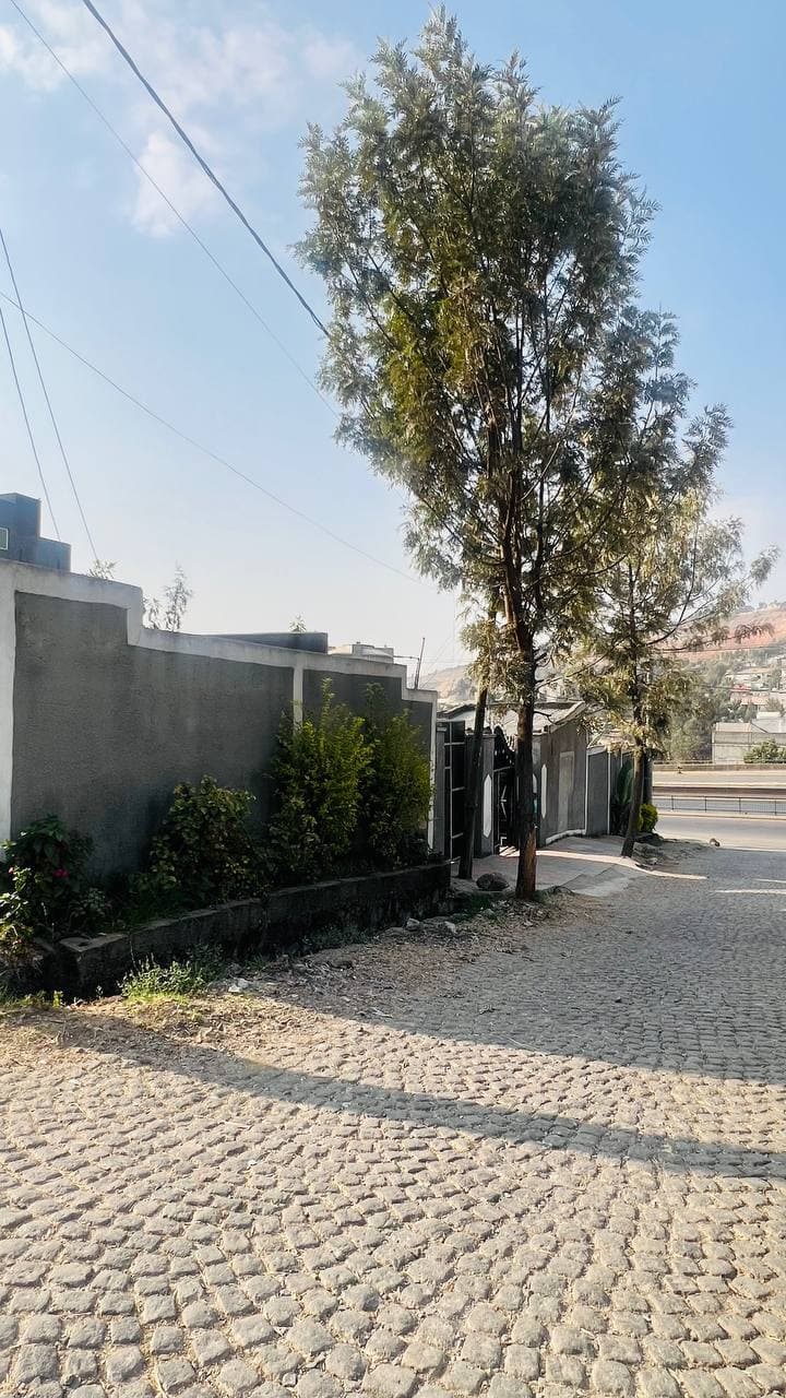 በአየር ጤና ሪንግ ሮድ ዋና መንገድ ላይ ለህንፃ ግንባታ የሚሆን 600 ካሬ ቦታ — 1