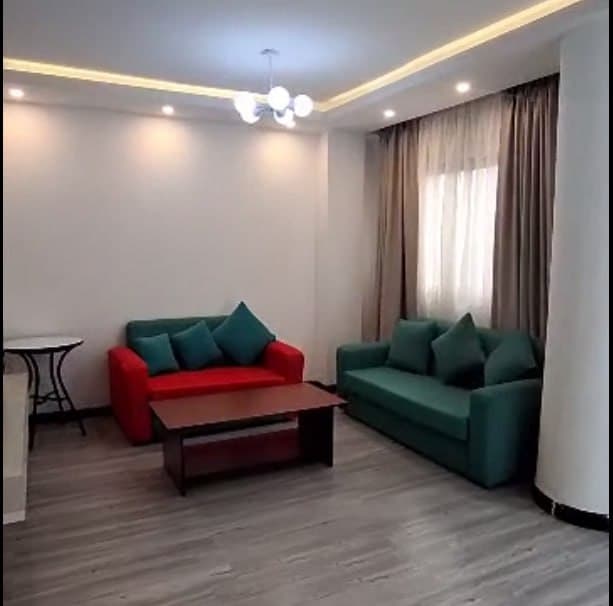 Furnished 1 Bedroom Apartment for Rent in Bole — 1