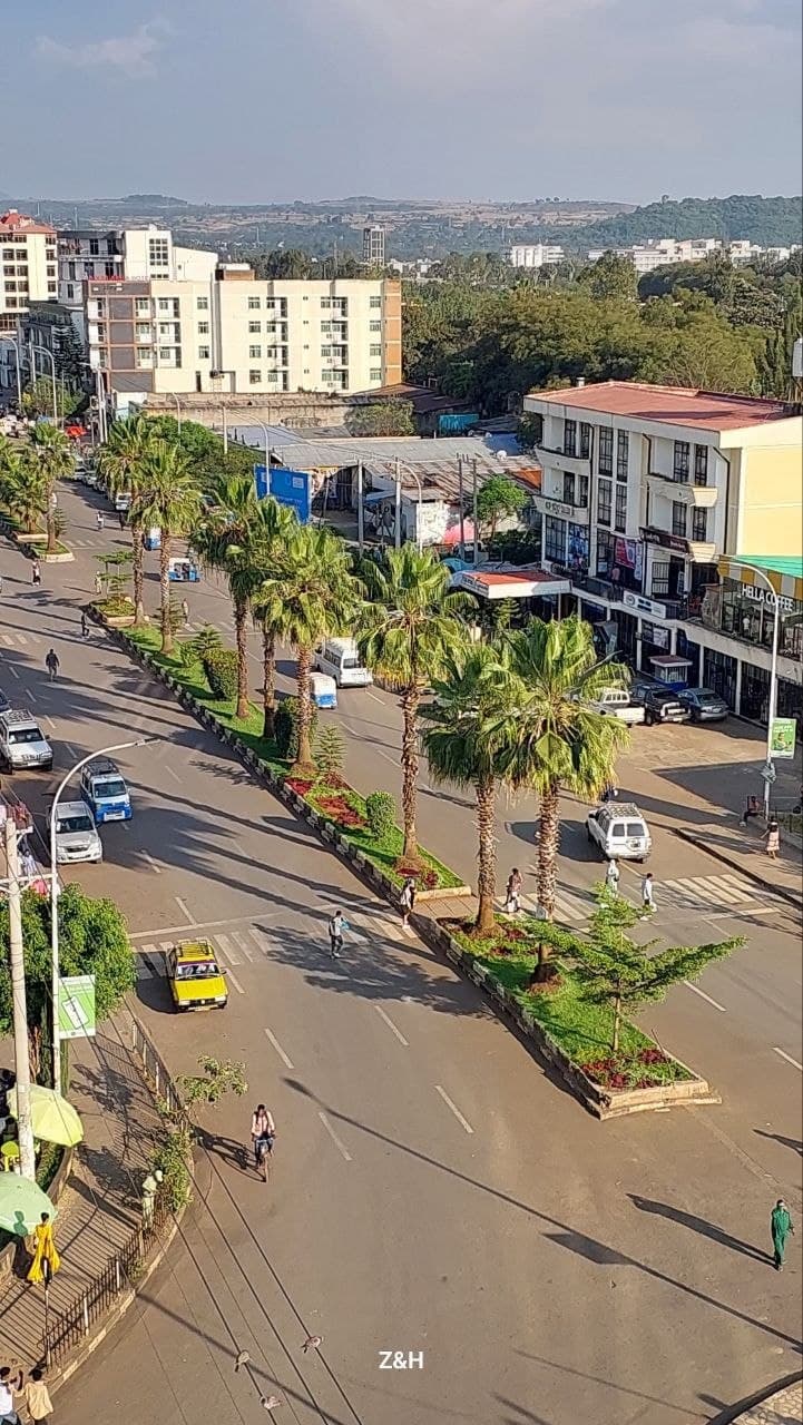 ባህርዳር ቀበሌ 14 - 250 ካሬ ሜትር ቦታ ለሽያጭ — 1