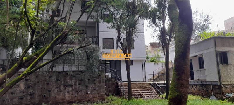 1,000 SQM House For Sale At Bole — 1