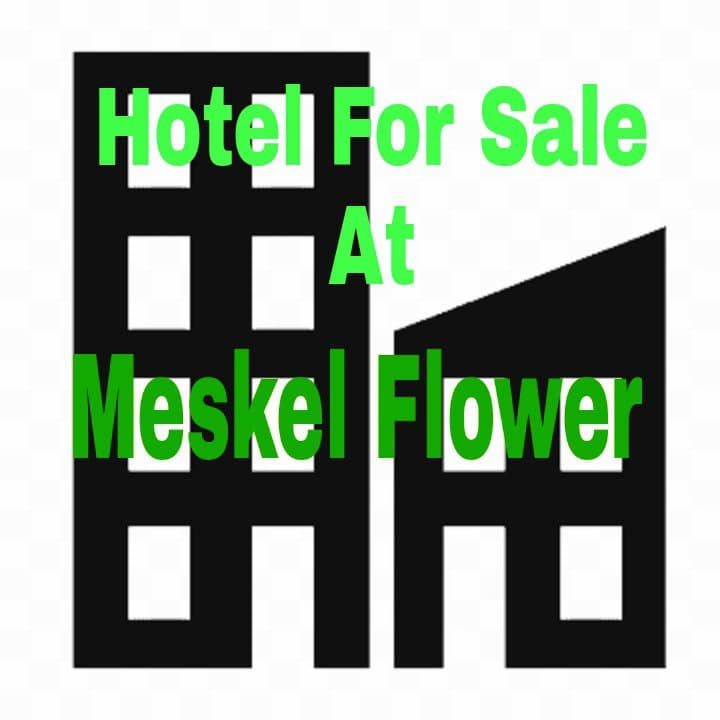 Hotel For Sale In Addis Ababa, Meskel Flower: ZG-11258 — 1