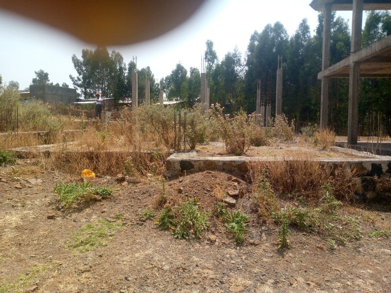 አስቸኳይ የሚሸጥ የቦታ ቦታ - አይራ ሸገር መናፈሻ ጀርባ፣ አዘዞ ጠዳ ክ/ከተማ፣ ጎንደር — 1