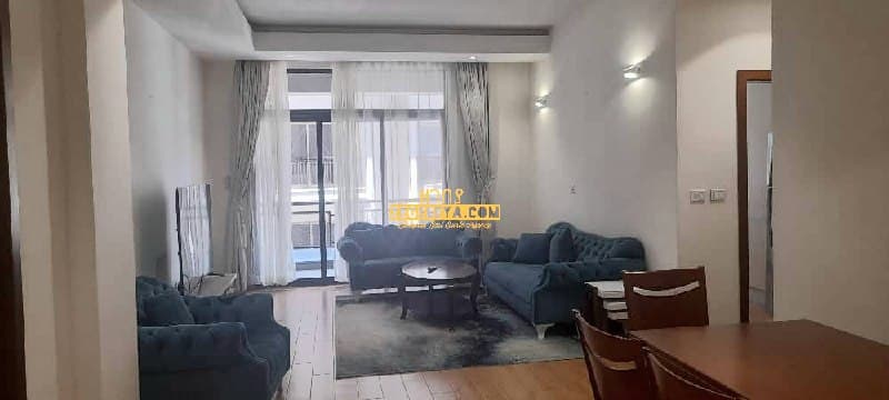 Furnished 3 Bedroom Apartment For Rent In Addis Ababa, Wello Sefer — 1