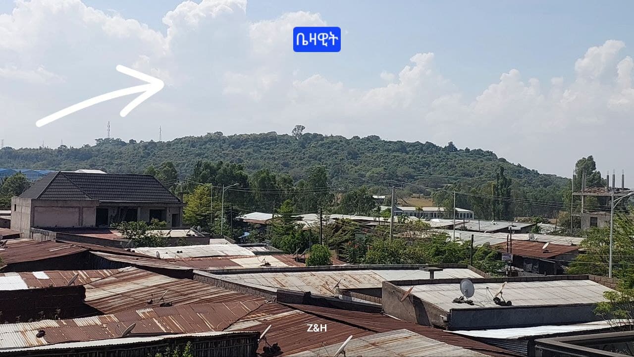 200 ካሜ የእንጨት ቤት — 1