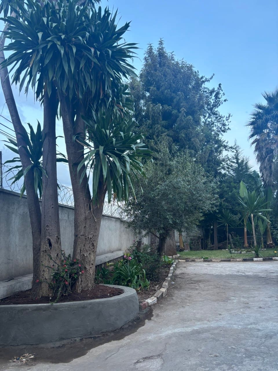 Modern Furnished Villa For Rent around Semen Hotel / Nigeria Embassy Area — 1