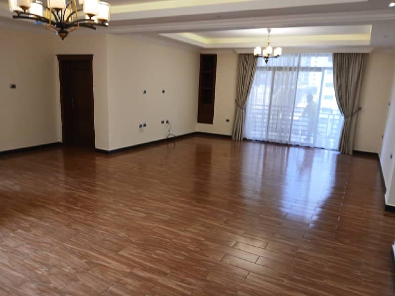 3 Bedroom Apartment for Rent in Addis Ababa, Old Airport — 1