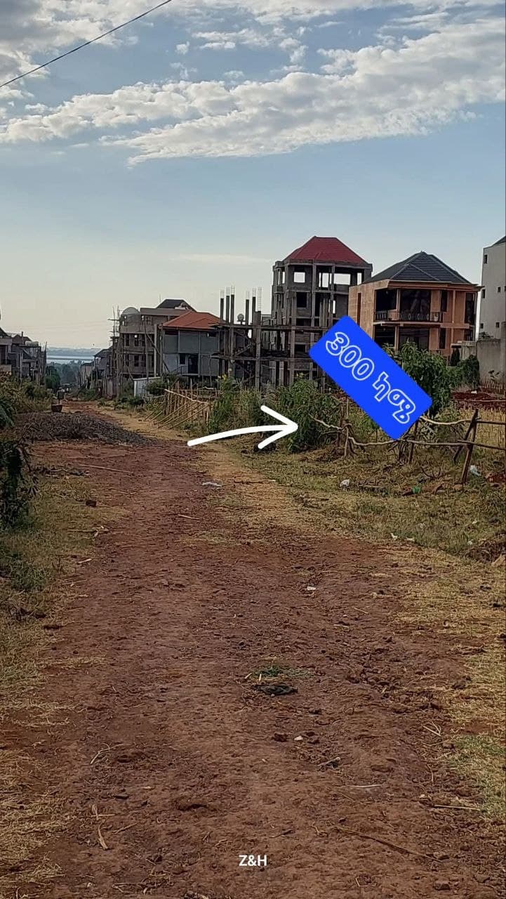 300 ካሬ ሜትር ባዶ ቦታ ከሊዝ ነፃ - ባህርዳር — 1