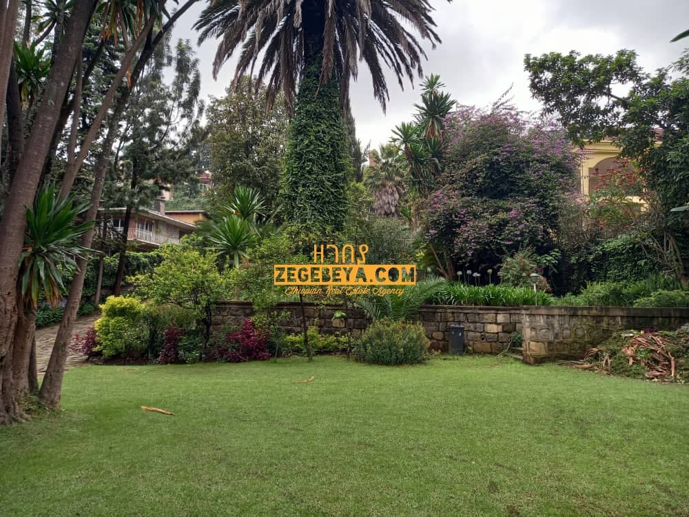 3,000 Sqm Residential House For Rent in Addis Ababa, Old Airport — 1