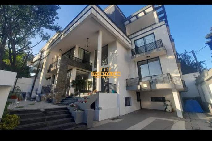 Luxurious Fully Furnished House for Rent in Addis Ababa Old Airport — 1
