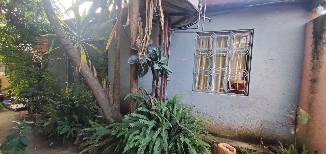 አስቸኳይ ለሽያጭ የቀረበ ቤት - ሀዋሳ 01 ሐዋሪያት ቸርች ጀርባ አካባቢ — 1
