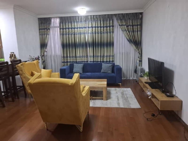 Modern Three Bedroom Furnished Apartment in Kazanchis — 1