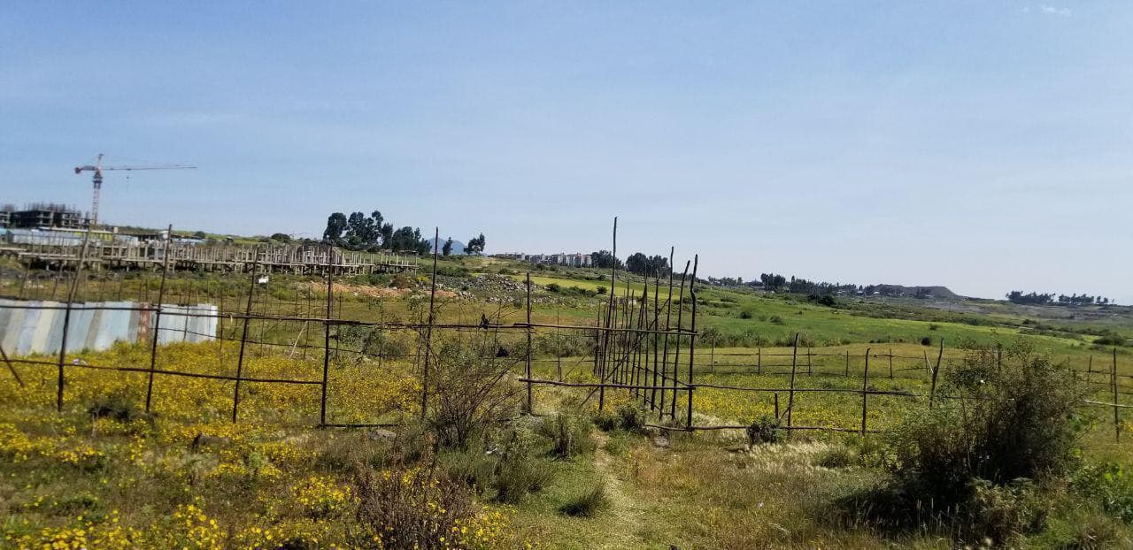 የሚሸጥ ቦታ አያት 72 - 450 ካሬ — 1