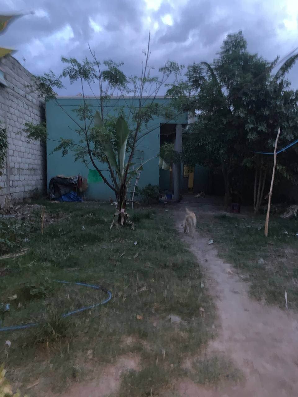 ለሽያጭ የቀረበ ቤት - ሃዋሳ ዳቶ — 1