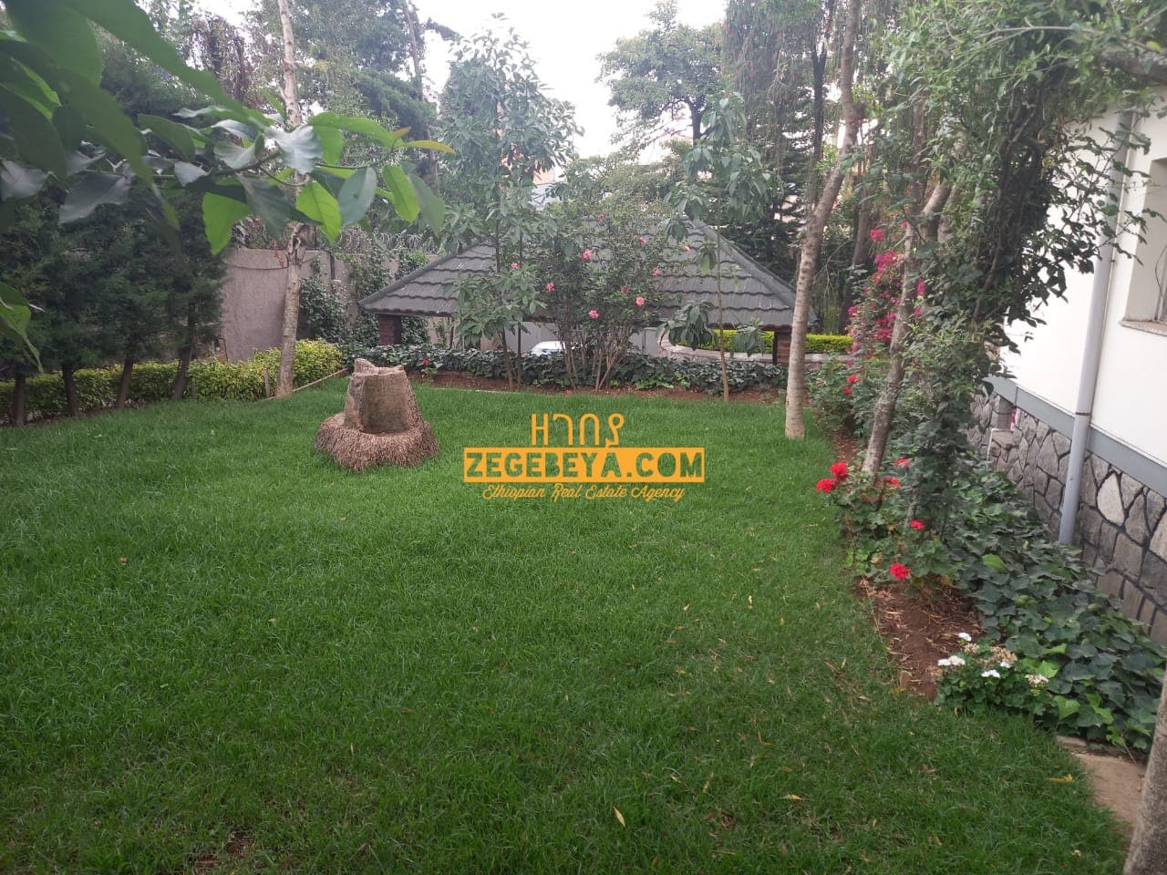 3 Bedroom Villa For Rent At Old Airport : ZG-12284 — 1