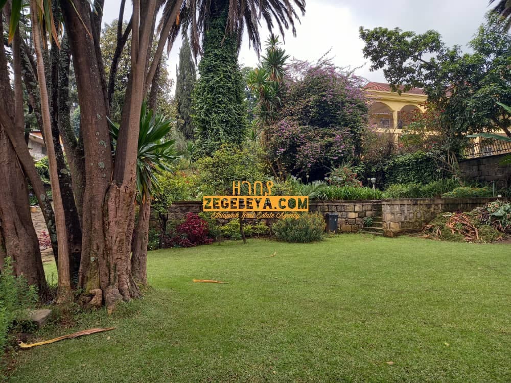 3,000 Sqm Residential House For Rent in Addis Ababa, Old Airport — 1