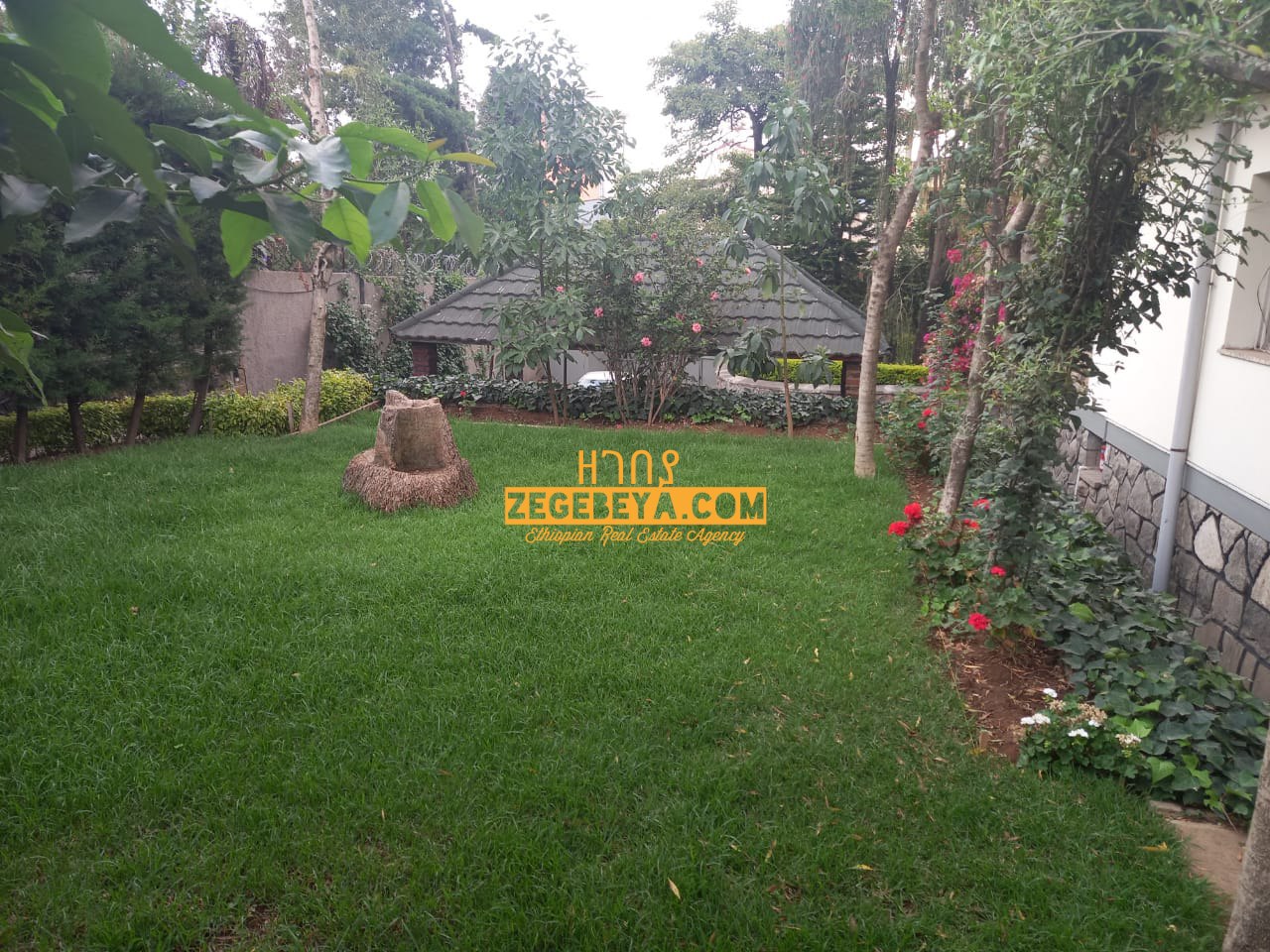 3 Bedroom Villa For Rent At Old Airport : ZG-12284 — 1