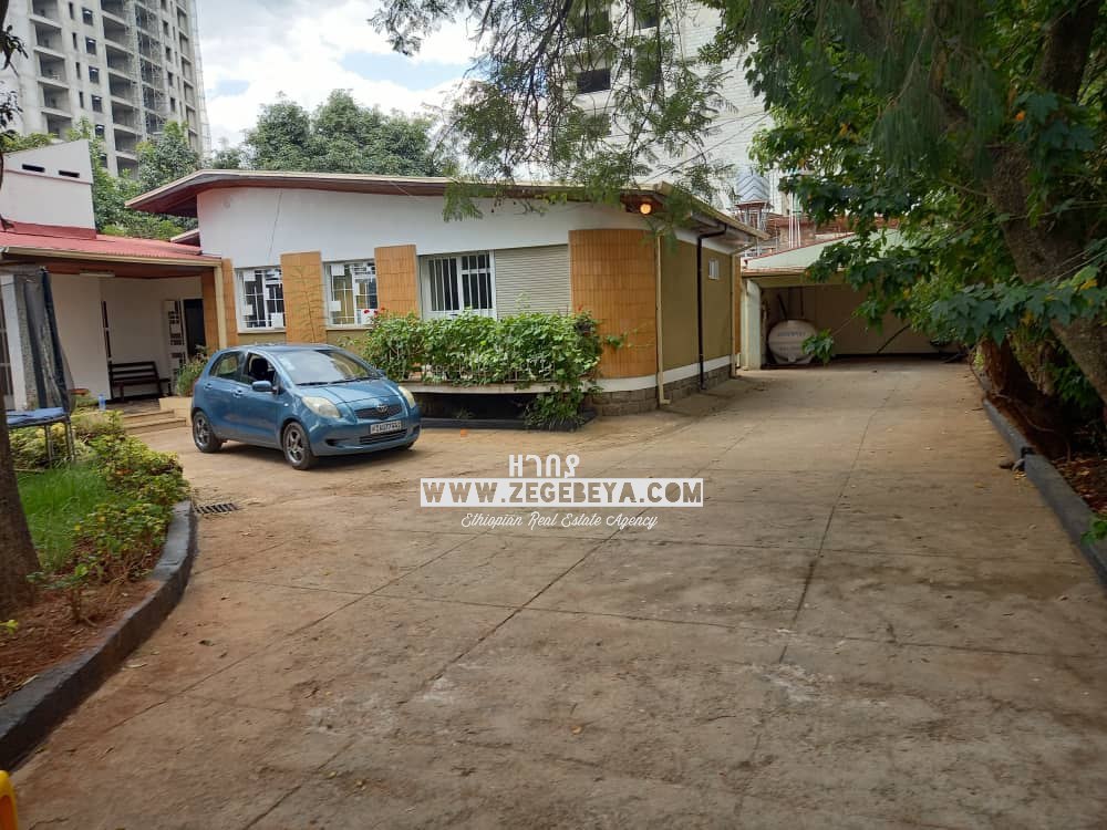 Villa With Big Garden In Addis Ababa, Old Airport : ZG-8404 — 1
