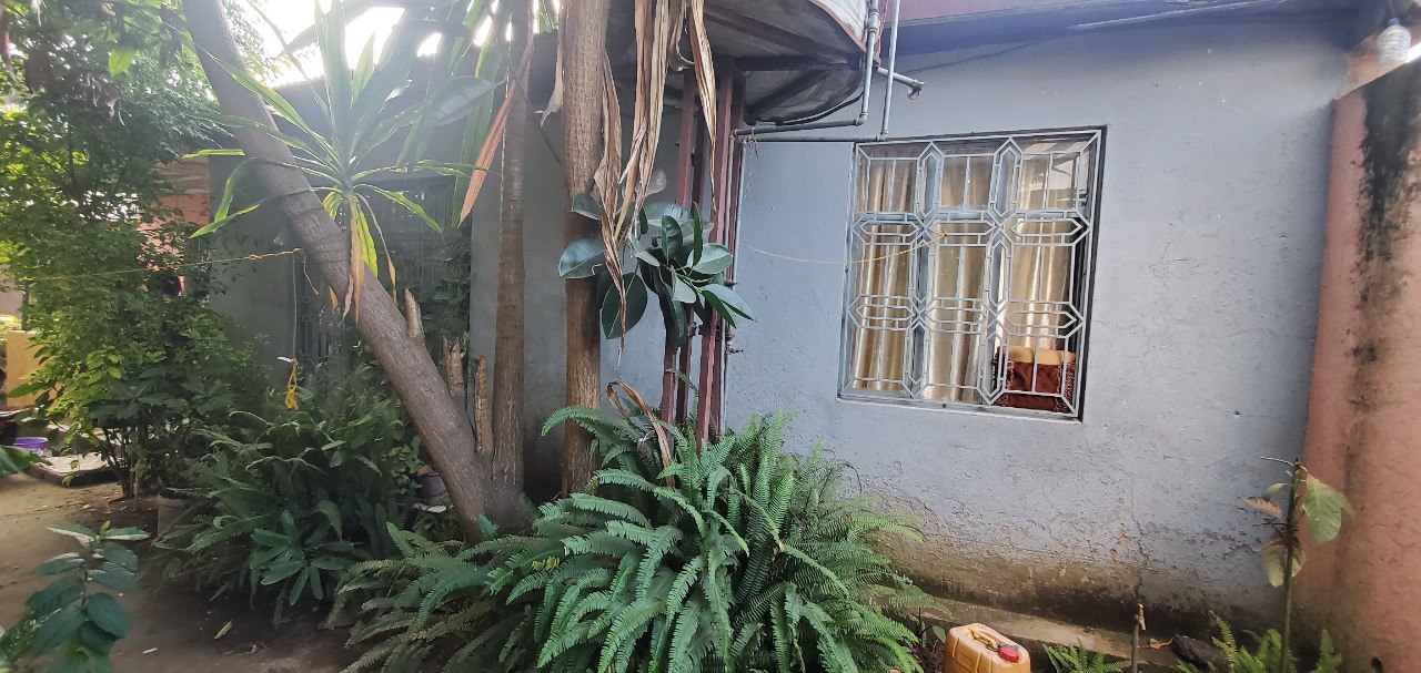 አስቸኳይ ለሽያጭ የቀረበ ቤት - ሀዋሳ 01 ሐዋሪያት ቸርች ጀርባ አካባቢ — 1