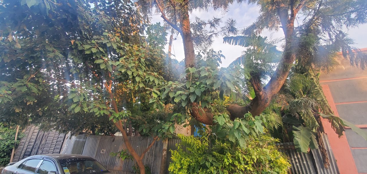 አስቸኳይ ለሽያጭ የቀረበ ቤት - ሀዋሳ አቶቴ — 1