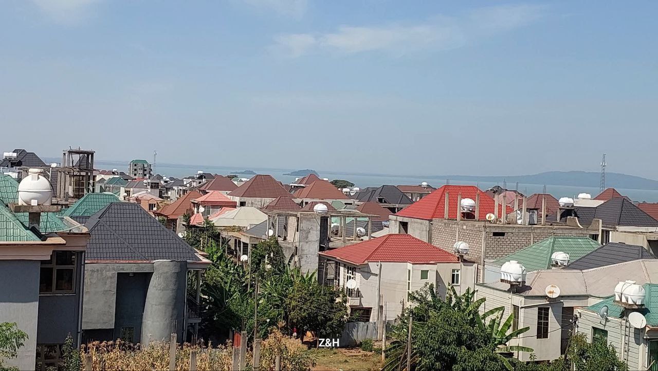 በአስቸኳይ የሚሸጥ የሊዝ ቦታ - ምድረገነት ዋርካው አካባቢ 200 ካሬ — 1